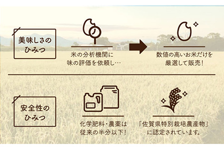 【令和5年産】【九州米・食味コンクール3年連続入賞！】こだわりのさがびより 10kg（玄米） /令和5年度産 米 特別栽培米 玄米 ブランド米 さがびより さがのお米 米粒が大きくしっかり お米の甘味