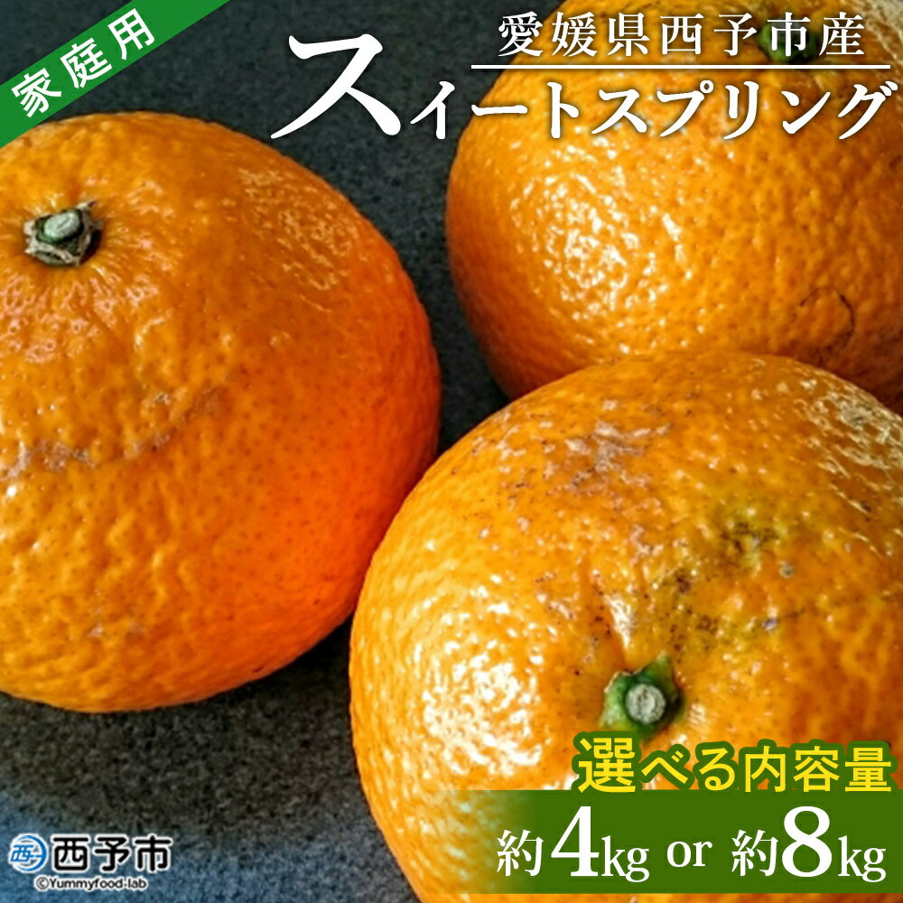 【ふるさと納税】＜愛媛県西予市産 スイートスプリング 家庭用 約4kg／8kg＞ 訳あり ワケアリ すいーとすぷりんぐ 果物 くだもの みかん ミカン 柑橘 甘い フルーツ 果実 果肉 特産品 産地直送 段畑みかん 愛媛県 西予市【常温】『2026年1月中旬～2月上旬迄に順次出荷予定』