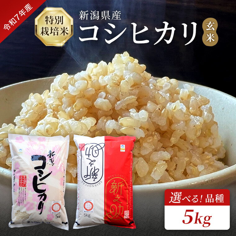 【ふるさと納税】令和7年産 特別栽培米 新潟県産コシヒカリ（玄米）5kg　新之助（玄米）5kg　今町かぐら舎