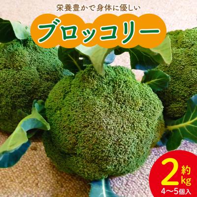 ふるさと納税 香南市 ブロッコリー 約2kg 栄養豊かで身体に優しいブロッコリー 4〜5個入り sy-0010 | 