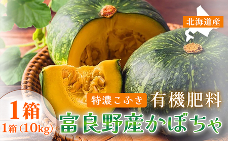 かぼちゃ こふきかぼちゃ 富良野産 無選別 かぼちゃ【10kg】