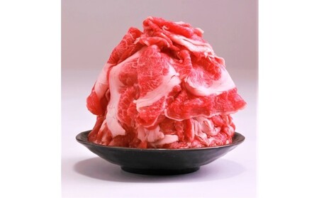 定期便 3ヶ月 牛肉 A4～A5 博多和牛 切り落とし 1000g 500g×2p 肩ロース 赤身 バラ カルビ 小分け 大好評につき継続！3回 配送不可：離島 