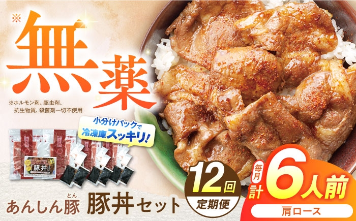 
            【12回定期便】豚丼 セット 計6人前（肩ロース120g × 2人前）× 3セット / 藤井ファーム 豚肉 豚丼 ぶたどん 豚どん 冷凍 国産 お惣菜 惣菜 タレ付き 豚カタロース 豚肩ロース 無薬 薬不使用 あんしん豚 安心豚 丼 丼もの レトルト食品 冷凍 人気 オススメ おすすめ セット タレ たれ付き おかず 簡単調理 お手軽 時短 お歳暮 11万4千円 114000円 [AWAF015]
          