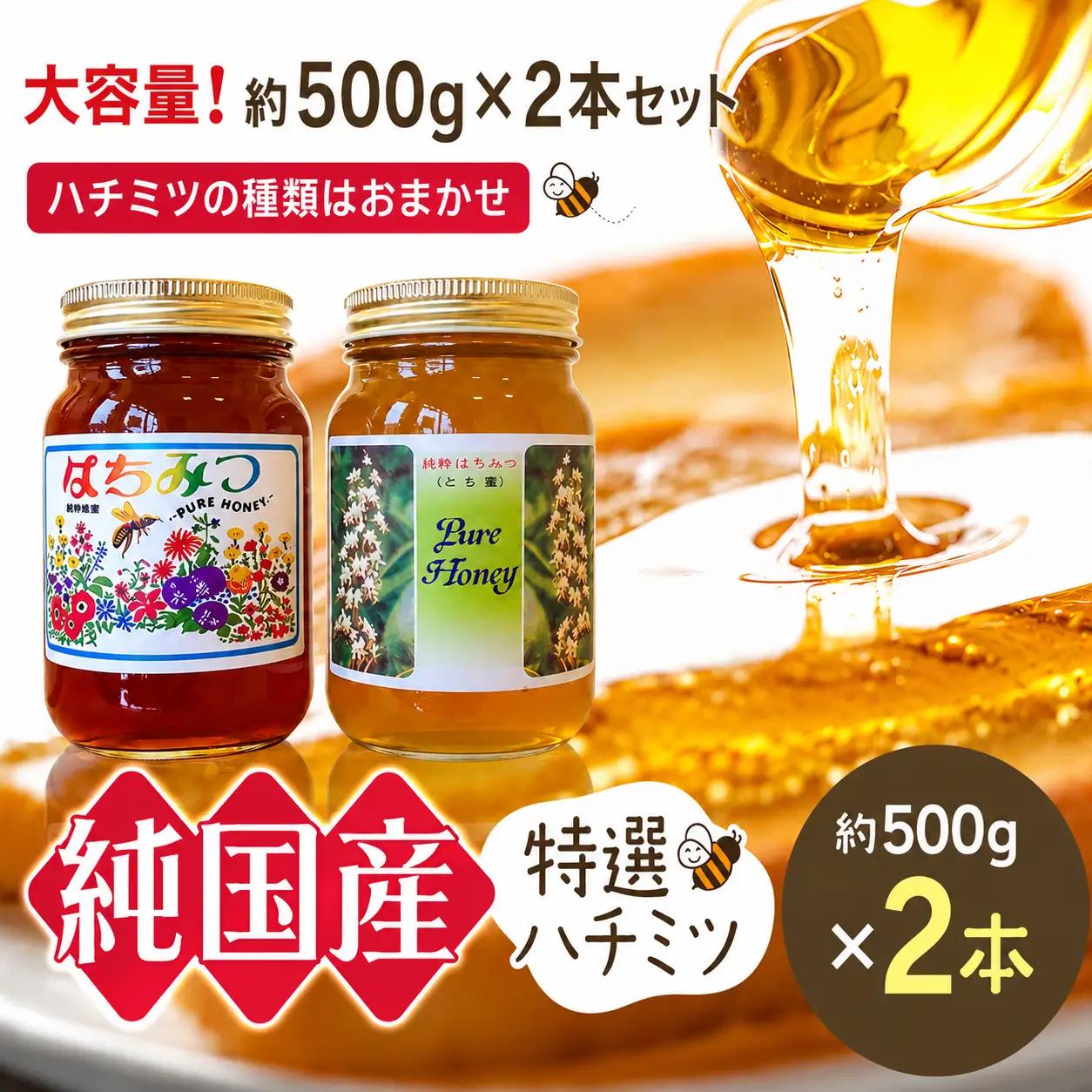 芳川養蜂場特選ハチミツ 大容量 約500g×2本セット | ハチミツ はちみつ 蜂蜜 国産 長野県 信州 木島平村