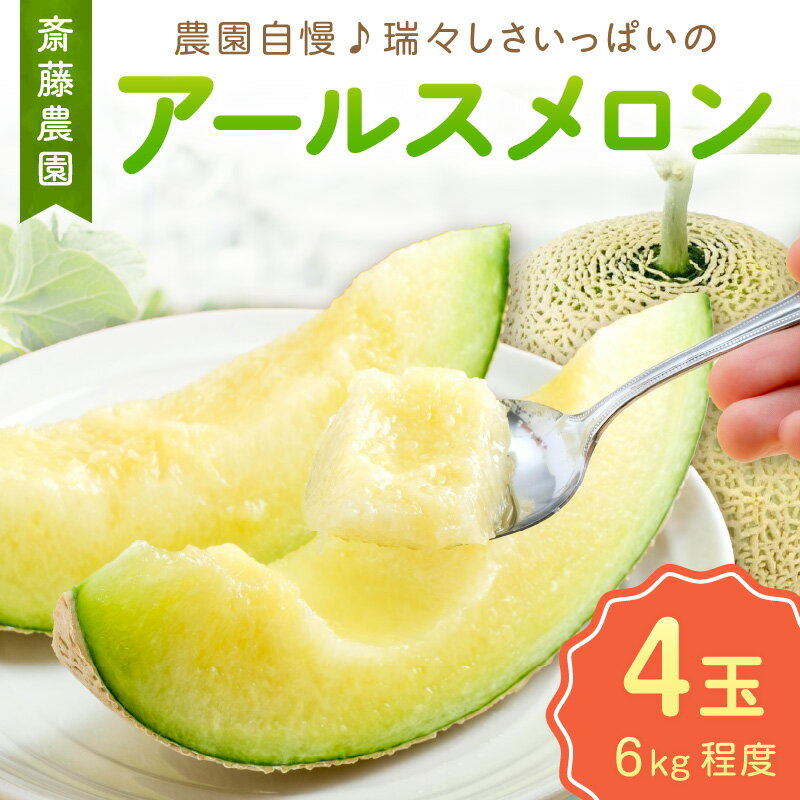 【ふるさと納税】斎藤農園のアールスメロン(マスクメロン)4玉 6kg程度≪先行予約2026年6月下旬頃より順次発送予定≫【配送不可地域：北海道・青森・秋田・岩手・沖縄・離島】高級　極上 果物 フルーツ 産地直送 プレゼント 和歌山県産 御坊産 送料無料