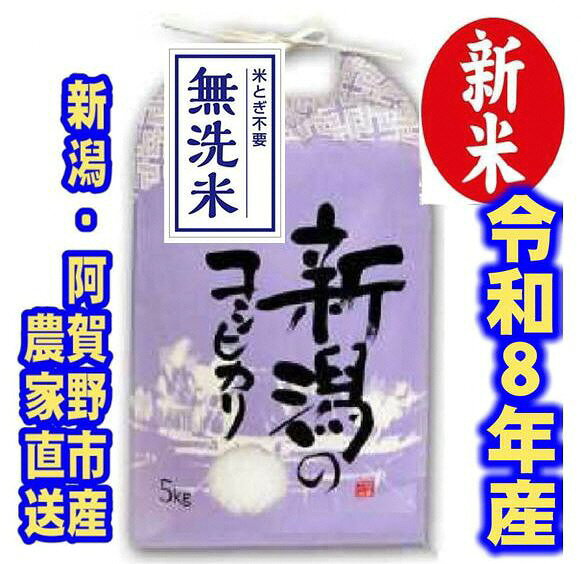 【ふるさと納税】【令和8年産新米】 新潟県産 「従来こしひかり」 無洗米 5kg 阿賀野市産 中島農場 精米 新潟県 米 こめ コメ お米 ごはん ご飯 農家直送 色彩選別済 新米 令和8年産