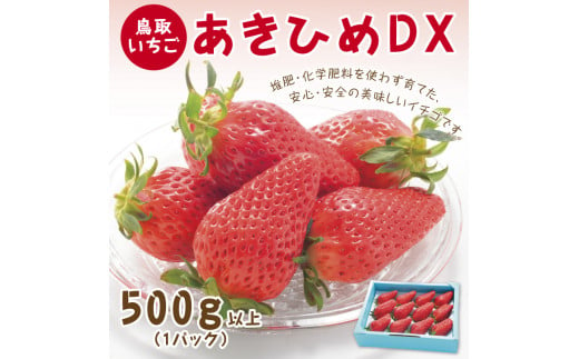 
0377 あきひめDX 500ｇ【鳥取いちご】(とみハウス)
