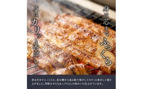 名店の味 国産鰻 宮崎県産うなぎ蒲焼 2尾 (ウナギ260g以上)　国産うなぎ九州産うなぎ宮崎県産うなぎ鰻ウナギうなぎかば焼き惣菜ウナギ送料無料うなぎ [G8403]