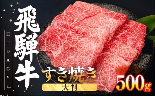 ＜8月から寄附額改定＞【通常出荷】【6月以降お届け】飛騨牛 赤身スライス すきしゃぶ用 すき焼き しゃぶしゃぶ用 500g すきやき 牛肉 和牛 黒毛和牛 肉 国産 ギフト 贈り物 すきやき スキヤキ 赤身 飛騨市 冷凍発送 わけあり ワケアリ