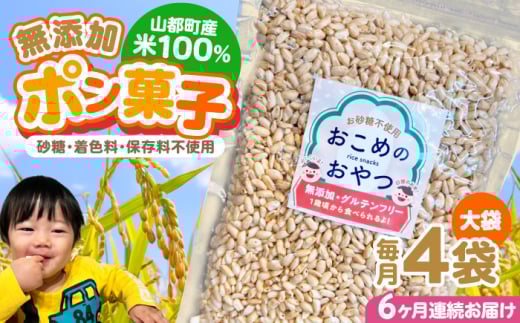 【全6回定期便】おこめのおやつ大袋 4袋セット【株式会社キゴコロ】 [YDZ012]