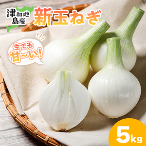 【先行予約】 津和地新玉ねぎ 5kg【津和地ブランド玉ねぎ】愛媛 松山 ブランド玉ねぎ 津和地島産 野菜 農家直送 期間限定 たまねぎ ドレッシング スープ ハンバーグ サラダ 人気 おすすめ【YMN002】