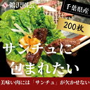 【ふるさと納税】 「 フレッシュサンチュ 」 合計200枚（10枚入×20パック） ふるさと納税 新鮮 フレッシュ サンチュ 焼き肉レタス チシャ チシャ菜 焼肉 焼き肉 BBQ バーベキュー 夏休み 銚子産 千葉県 銚子 鵜沢園芸