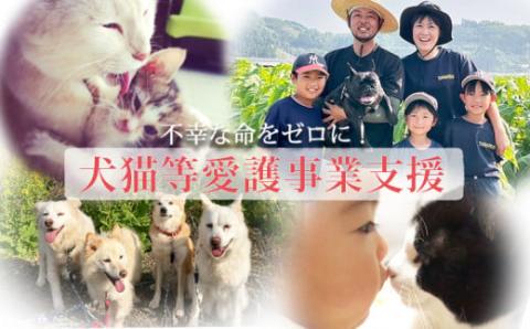 【返礼品なし】【犬猫等愛護活動 犬と猫と人にとって住みよい社会づくりを応援】宮崎県 高原町 特定非営利活動法人 咲桃虎(さくもんと)　TF3013-P00056