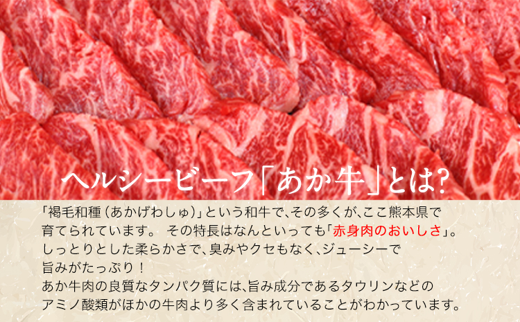 肥後のあか牛 焼き肉用 500g 《90日以内に出荷予定(土日祝除く)》 長洲501 熊本 特産 あか牛