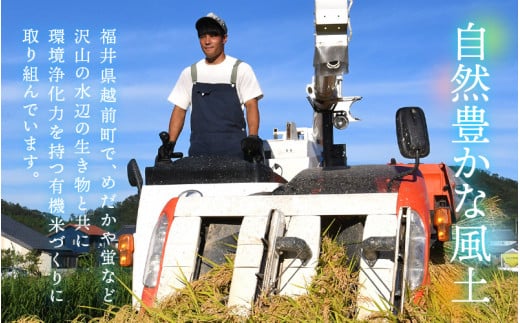 有機JAS 米 越前コシヒカリ 5kg 令和6年産 新米 福井県産【精米】【有機栽培 JAS認証 人気品種 こしひかり 5キロ】 [e10-c003]