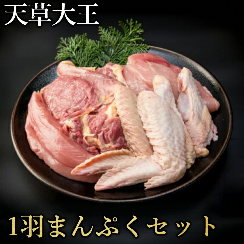 【ふるさと納税】天草大王 1羽まんぷくセット 鶏肉 セット 約1.4kg（ 鶏もも肉 鶏むね肉 ササミ 手羽元 手羽先 ） 希少 幻の地鶏 大容量 小分け 鶏肉 冷凍 送料無料 お取り寄せ グルメ 国産 熊本県 水上村