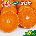 【ふるさと納税】 訳あり せとか 5kg マル南フルーツ 柑橘の大トロ 高級 ブランド 希少 品種 mikan 愛媛みかん 愛媛蜜柑 愛媛ミカン 宇和島みかん 高級みかん 人気みかん みかんランキング 果物 くだもの フルーツ 柑橘 蜜柑 産地直送 数量限定 国産 愛媛 宇和島 B012-106023