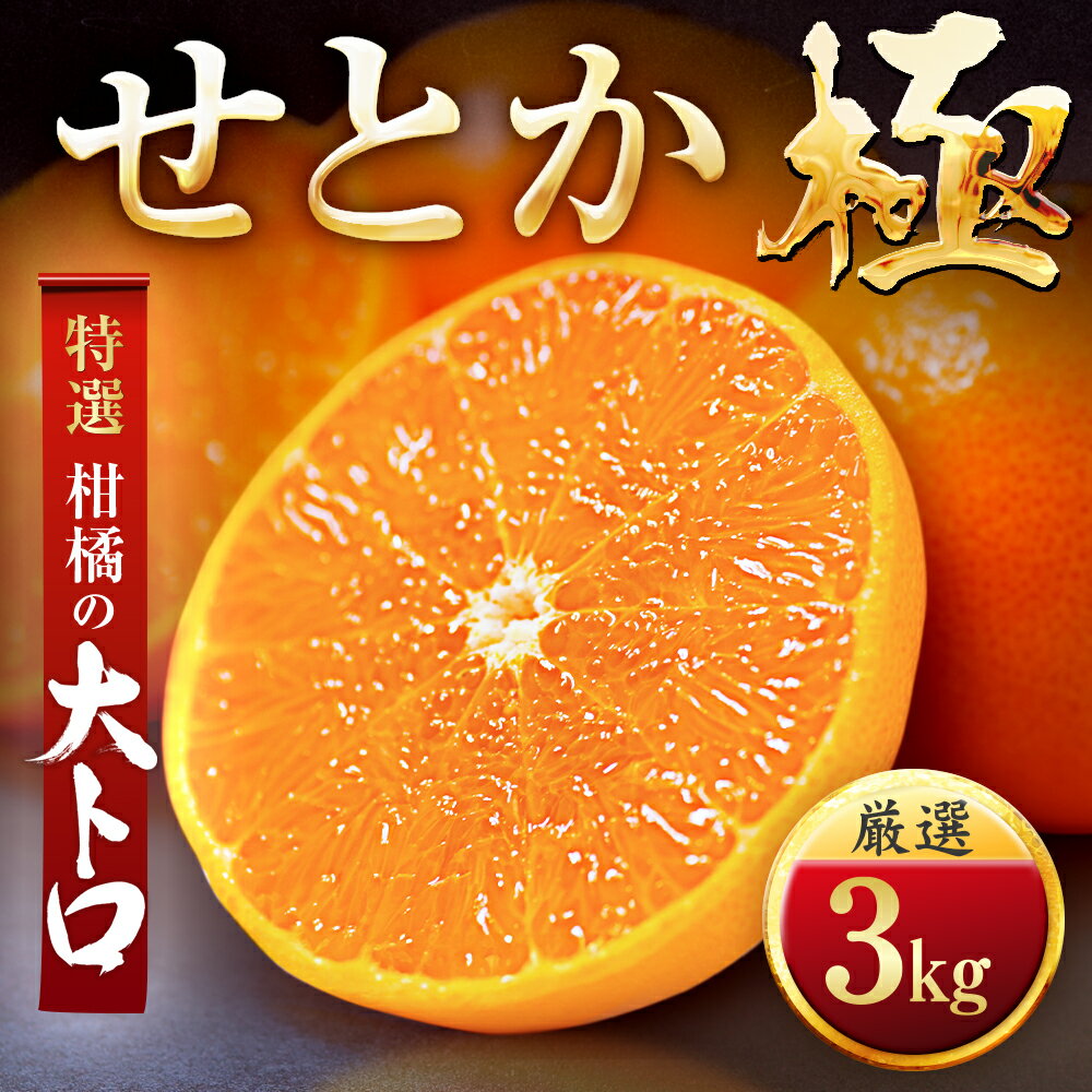 【ふるさと納税】「夕やけブランド」柑橘の大トロ!【せとか】 2kg / 3kg / 5kg / 10kg_ みかん ミカン 蜜柑 せとか 果物 くだもの フルーツ デザート おいしい かんきつ 柑橘 柑橘類 国産 愛媛 愛媛県 八幡浜市 産直 産地直送 送料無料 【G1509770】YWTZ059