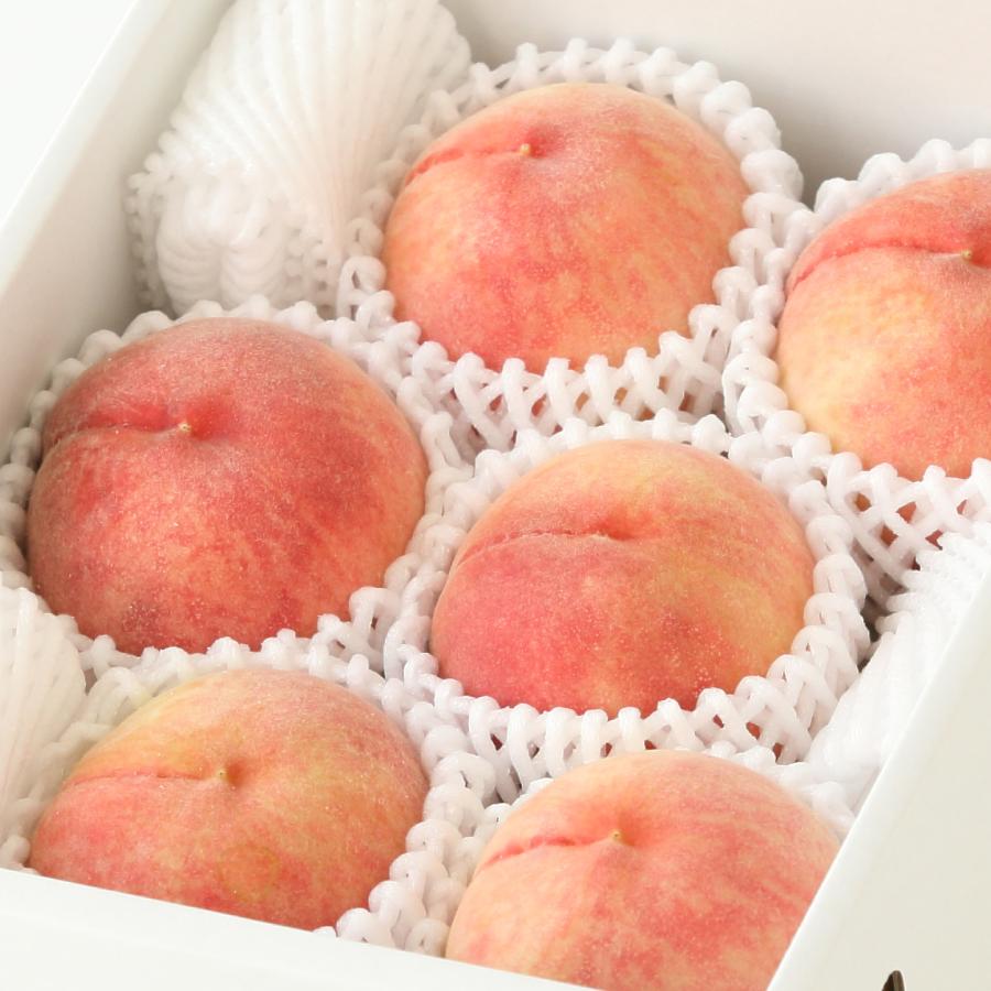 ＜紀のファーム＞赤秀あら川の桃「川中島白桃」2kg（５～７玉）
