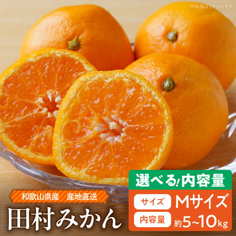 【ふるさと納税】【限定】 【2025年先行予約】 和歌山 湯浅町産 田村みかん 選べる 容量 5kg 10kg Mサイズ ミカン 蜜柑 柑橘 温州みかん 有田みかん 和歌山