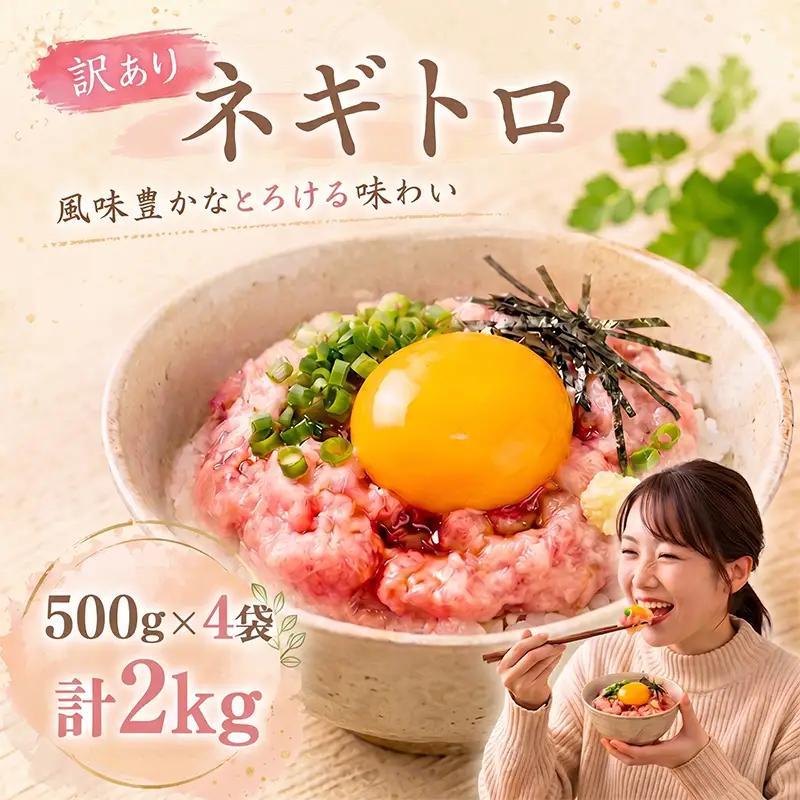 【ねぎとろ】大熊 ねぎとろ 2kg CF013