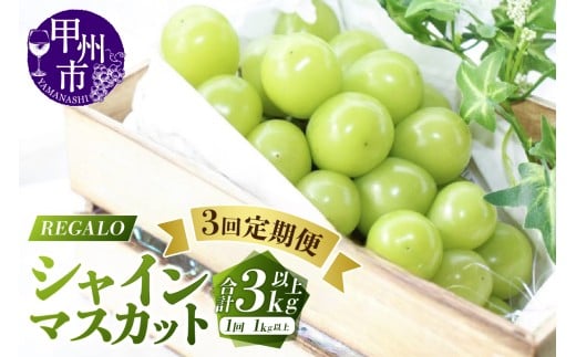 【シーズン中3回お届け定期便】頬張る幸福感～緑の宝石・シャインマスカット～1kg以上 2～3房【2026年発送】（RG）C3-840【シャインマスカット 葡萄 ぶどう ブドウ令和8年発送 期間限定 山梨県産 甲州市 フルーツ 果物】