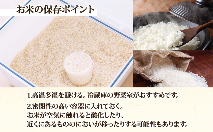 北海道産 ゆめぴりか ななつぼし 食べ比べ  精米 各5kg 計10kg お米 米 特A 白米 ブランド米 ご飯 ごはん おにぎり 産直 JAようてい 送料無料 北海道 倶知安町