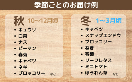 【6ヶ月定期便】新鮮野菜の産直 7～10品目 ＜楠こもれびの郷「楠四季菜市」＞｜野菜 野菜 野菜 野菜 野菜 野菜