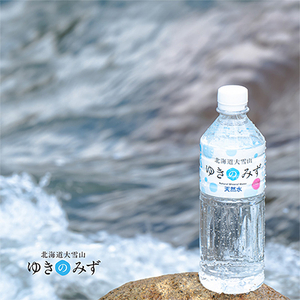 北海道大雪山　ゆきのみず　550ml×24本入り【601】【1086846】