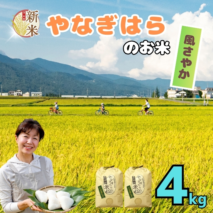 【先行予約】＜令和7年産新米＞特別栽培米「やなぎはらの米　風さやか」4kg(7-69)