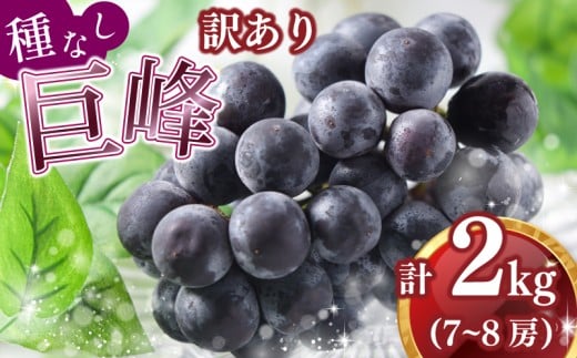 【2025年8月中旬発送】訳あり  種なし巨峰 ２kg 7～8房 冷蔵 ぶどう 巨峰 フルーツ 福岡県川崎町 太田農園 先行予約  数量限定