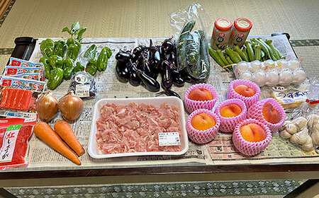 ミンナのこども食堂への支援（返礼品の送付はございません）