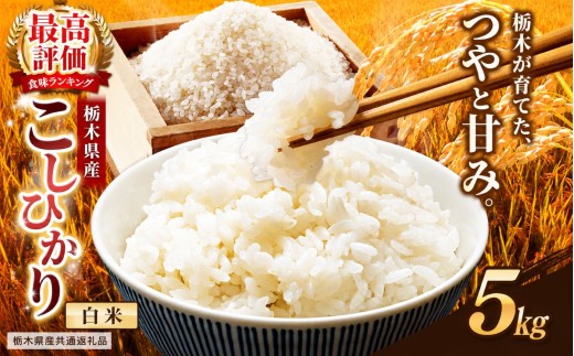 【栃木県共通返礼品】栃木県産コシヒカリ 白米 5kg | コシヒカリ こしひかり コメ お米 米 白米 栃木県産 ご飯 飯 御飯 主食 kome 栃木県 那珂川町 送料無料