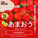 【ふるさと納税】【先行予約/2025年】福岡県産あまおう 約270g×4パック《2025年2月以降順次発送》【配送不可地域：離島】【1460845】