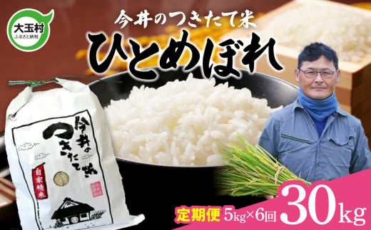 【 令和6年産 新米 】【 今井のつきたて米 】  ひとめぼれ 30kg （ 毎月5kg × 6回 ）【OT08-014-R6】 福島県 大玉村 令和6年 米 今井農園