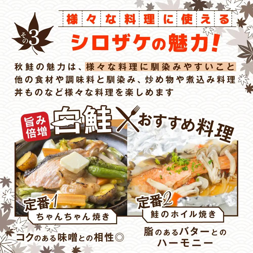 【訳あり】「秋鮭の切り身（無塩）」1.4kg 【BT000SF01】鮭 切り身 北海道