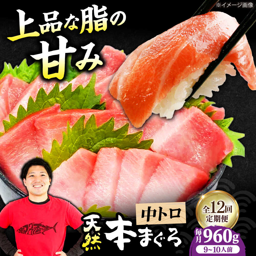 【ふるさと納税】【全12回定期便】極上！たね熟天然本まぐろ中トロ(960g) 天然 マグロ 鮪 中トロ 刺身 魚 魚介 大阪府高槻市/本まぐろ直売所[AOCE039]