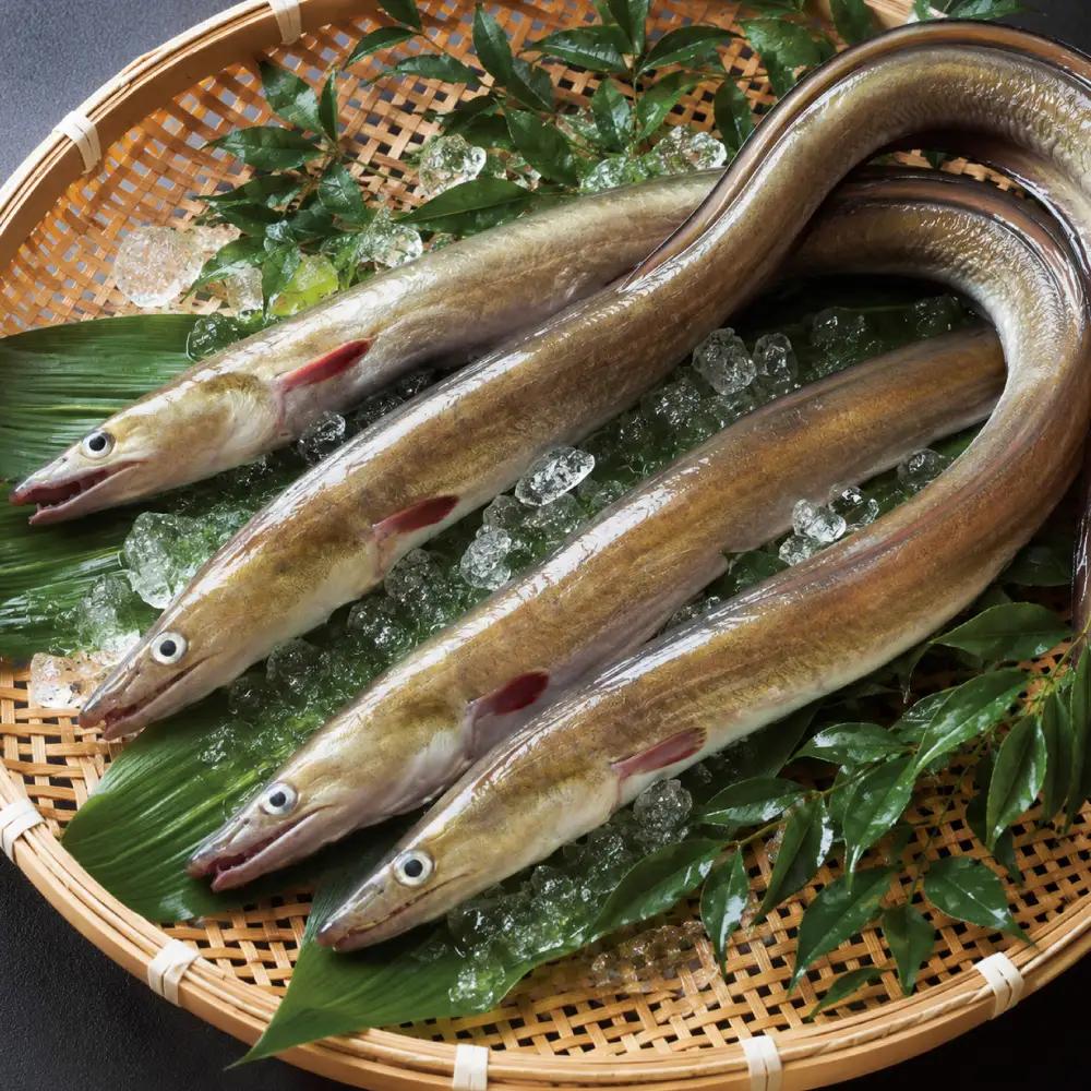 のぞみ 湯引 はも 350g 【2026年5月上旬から12月上旬発送予定】