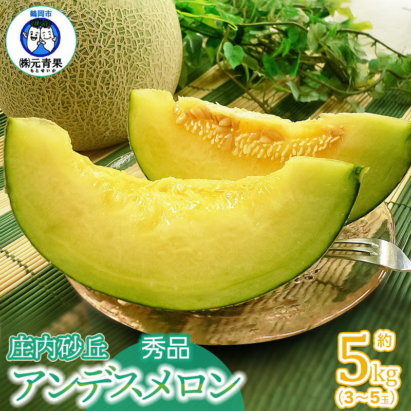 【ふるさと納税】【令和8年産先行予約】庄内砂丘 アンデスメロン 秀品 約5kg (3〜5玉） 山形県鶴岡市産　元青果
