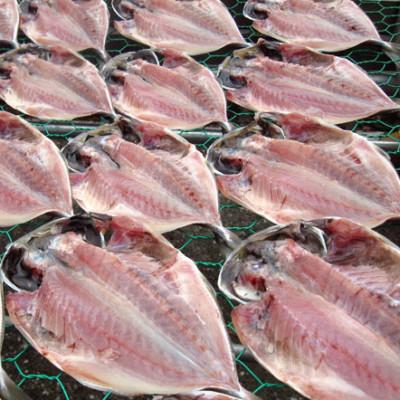 ふるさと納税 伊東市 【毎月定期便】真あじ　天日干しひもの　詰合せ(18枚入)全12回 |  | 01