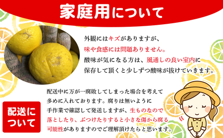 ＜木下さんちのニューサマーオレンジ 家庭用 約5kg（大中小サイズ混み）＞ 柑橘類 日向夏 ミカン 蜜柑 果物 くだもの フルーツ 国産 特産品 木下農園 愛媛県 西予市【常温】『2027年4月上旬～
