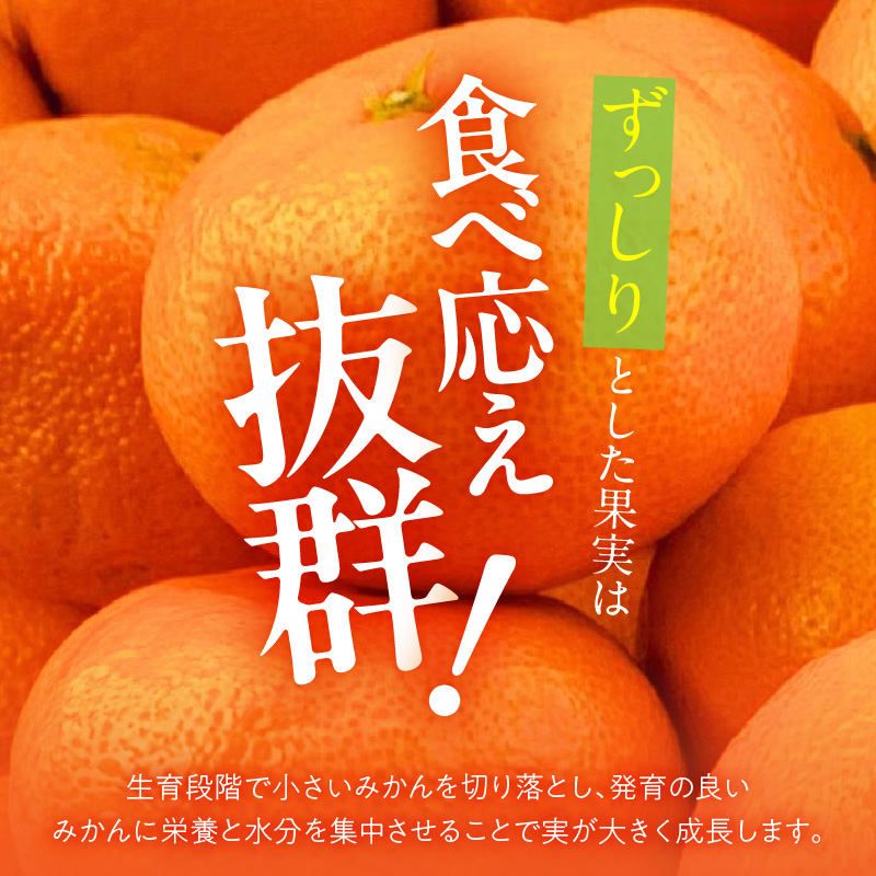 MK1033_【2025年先行予約】みかん 大玉 どっこいしょ 箱込 5kg ( 内容量 4.4kg ) 2Lサイズ以上 秀品 優品 混合 有田みかん 和歌山県産 産地直送 【みかんの会】