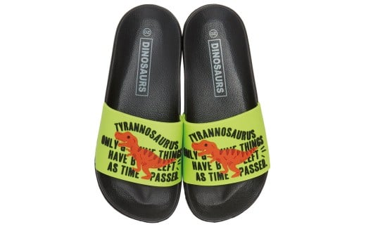 キッズ シャワー サンダル【20.0cm】 子供 こども かわいい 夏 海 ビーチ スケーター skater ディノサウルス 恐竜 ダイナソー 男の子 男子【プール 海水浴 子ども キャラクター】 奈良県 奈良市 なら 4-086