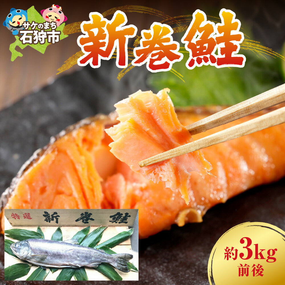 【ふるさと納税】鮭 サケ 荒巻鮭北海道 浜益産 新巻鮭（約3kg前後×1本）北海道 石狩市 いしかり 3kg 3キロ 3キロ ずっしり 鮭姿 一本姿 新巻き鮭 一匹姿 はまます 昔ながらの製法 お土産 土産 手軽 美味しい 人気 漁師 人気 荒巻鮭 あらまきさけ【NEW】