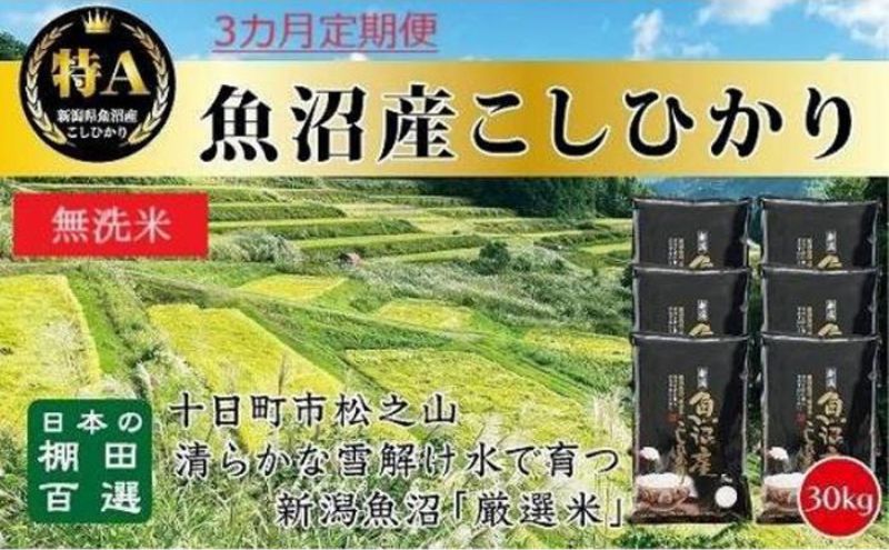 【令和8年産 先行予約】無洗米「3カ月定期便」日本棚田百選のお米 天空の里・魚沼産こしひかり ３０kg（５kg×６）×３回 白米 安心 安全 こだわり