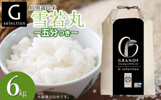 【令和7年産先行予約】 特別栽培米 Gセレクション 雪若丸 五分づき 6kg(6kg×1袋) 山形県鶴岡市産　株式会社グラノフ