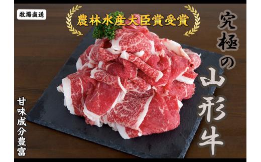 08-27-038　【多用途食材】切り落とし700ｇ～鶴亀牛～