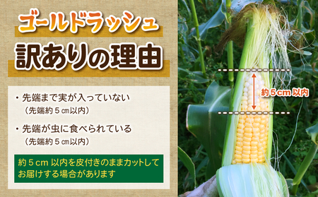 【訳あり】東御市産とうもろこし（ゴールドラッシュ）約４kg（８〜１２本） ※2024年7月中旬頃〜9月中旬頃に順次発送予定※着日指定不可