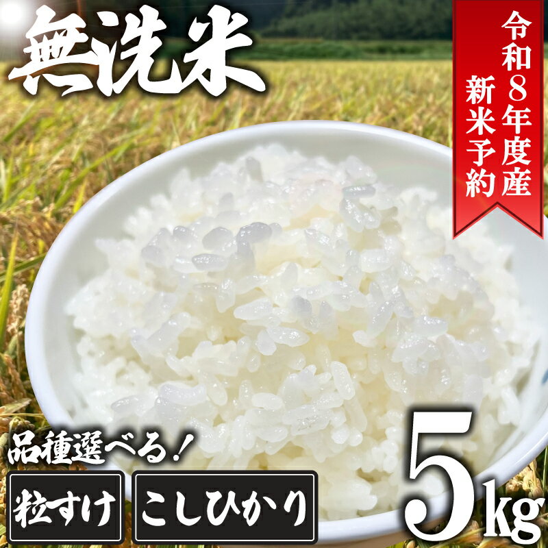 【ふるさと納税】 先行予約 無洗米 5kg 令和8年産 千葉県産 米 新米 こめ 粒すけ つぶすけ コシヒカリ こしひかり コメ 精米 白米 むせんまい ご飯 ごはん お弁当 おにぎり 国産 千葉県産 千葉県 旭市 オオナギファーム