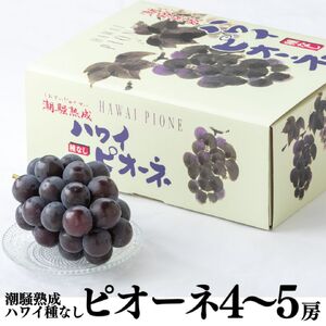 ピオーネ 種なし 2kg 4房 － 5房 潮騒 熟成 ハワイ | 28M